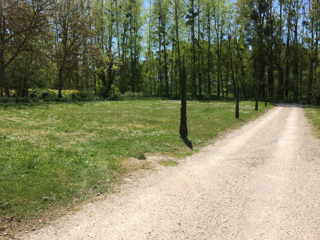 Gite Du Ruisseau De La Renne Thésée エクステリア 写真